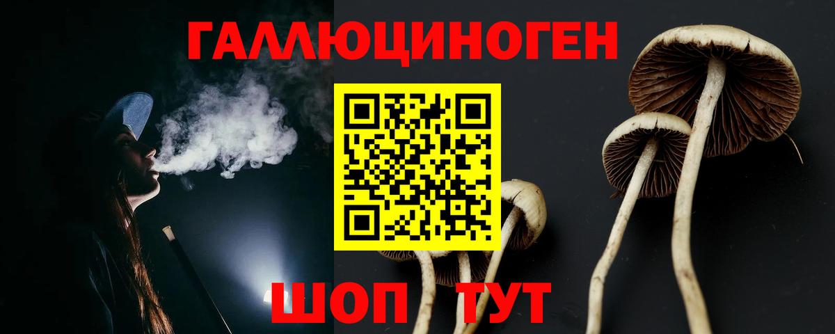 Галлюциногенные грибы Psilocybine cubensis  Вход с VPN  купить закладку  Киселёвск 